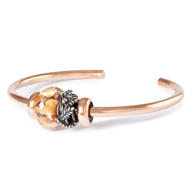 Amber Fold
